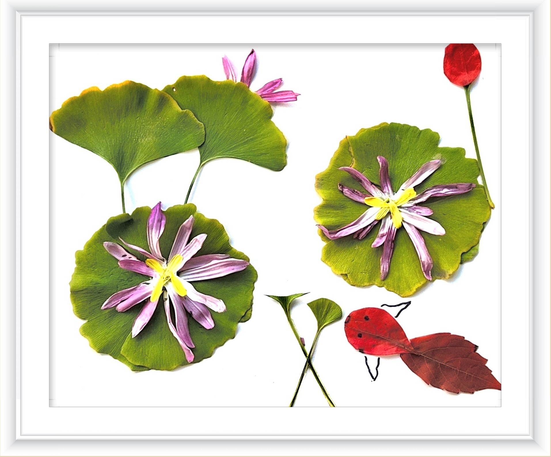 《一路清莲》作者：张颖蕊_副本.jpg